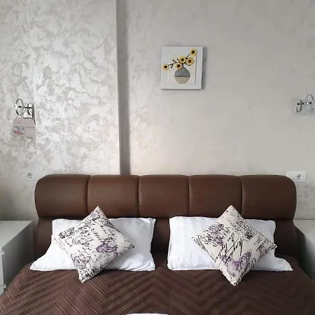 Apartament Manu *